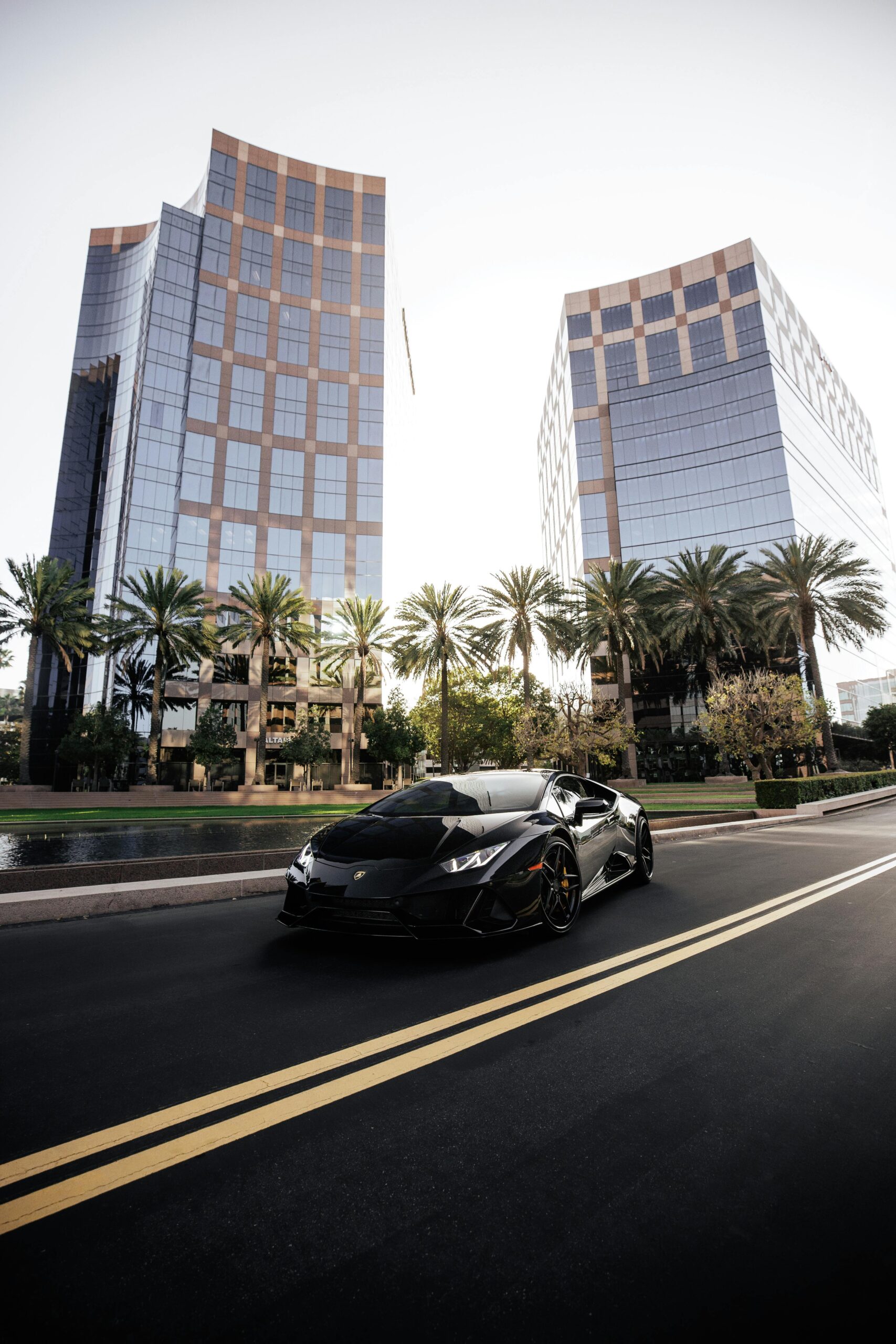 Sleek black Lamborghini sports car driving through an urban street with tall buildings and palm trees.